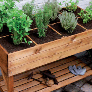 Kit Huerto Urbano “Empezar desde Cero”